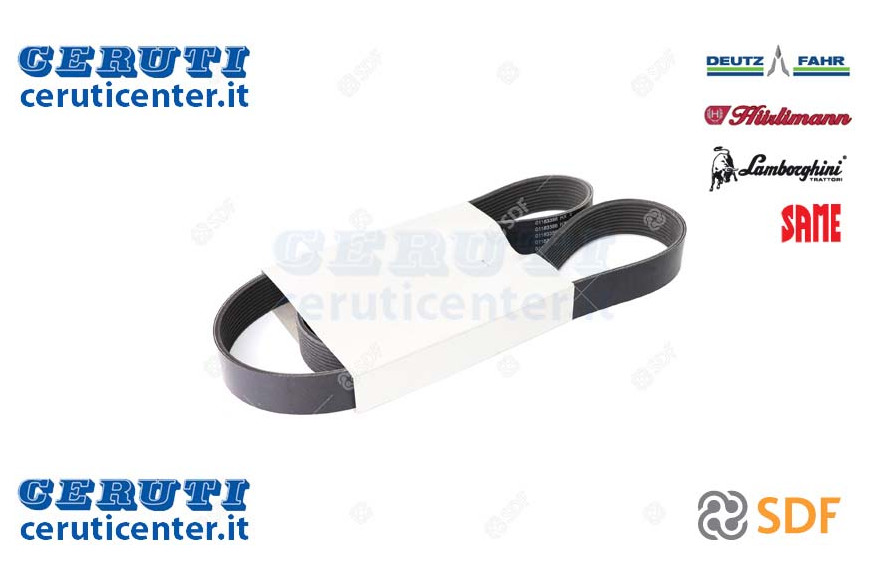 Cinghia - Originale SDF - 01183386