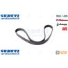 Correa SDF - Original - 01183387
