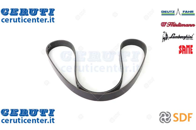 Cinghia - Originale SDF - 01183392