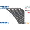 Strap Mm 1498 - Original SDF - 2.4119.219.0