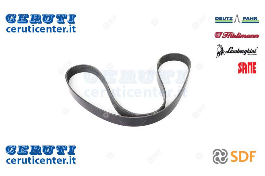 Cinghia - Originale SDF - 01183416