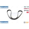 Cinghia - Originale SDF - 01183510