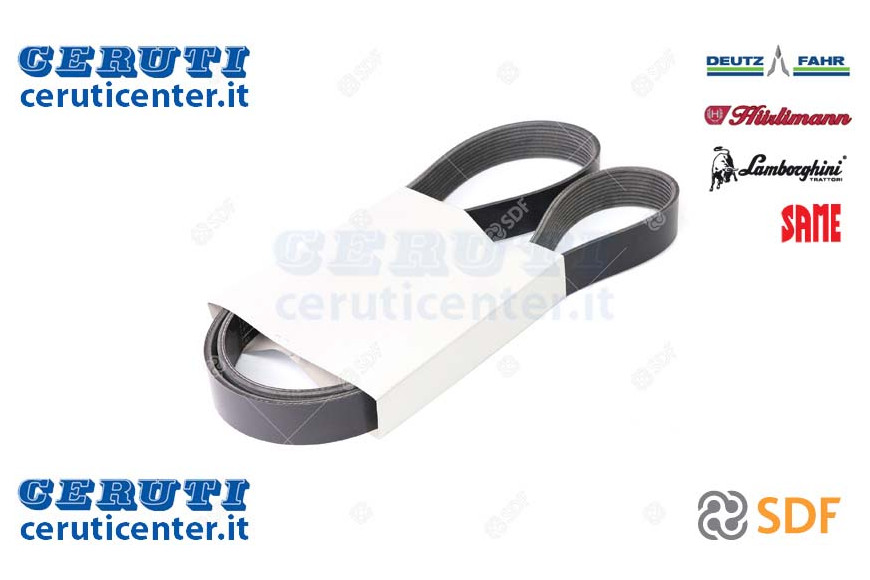 Cinghia - Originale SDF - 01183511