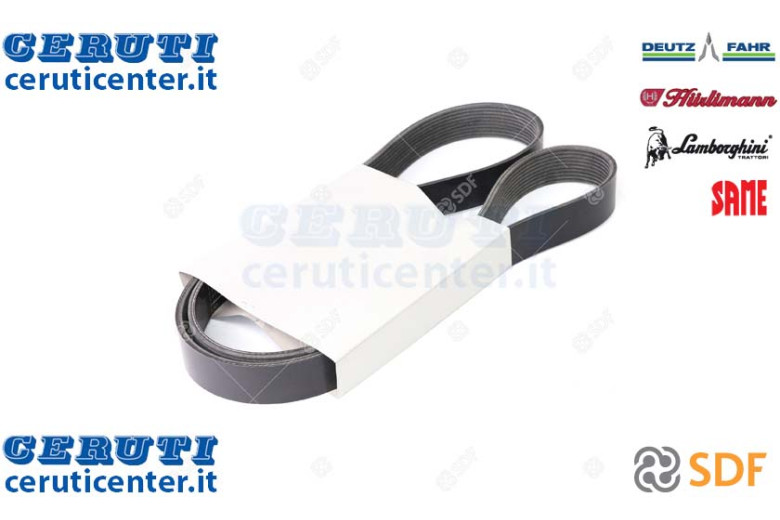 Cinghia - Originale SDF - 01183511