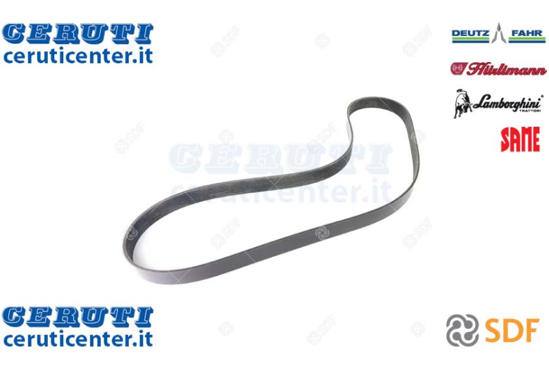 Cinghia - Originale SDF - 01183513