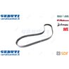 Strap - Original SDF - 01183513