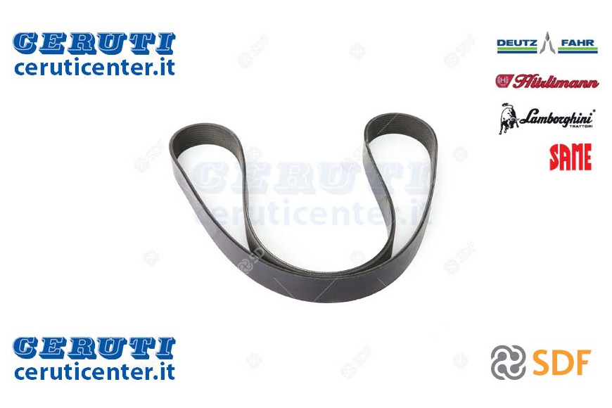 Cinghia - Originale SDF - 01183559