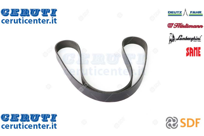 Cinghia - Originale SDF - 01183559
