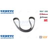 Cinghia - Originale SDF - 01183559