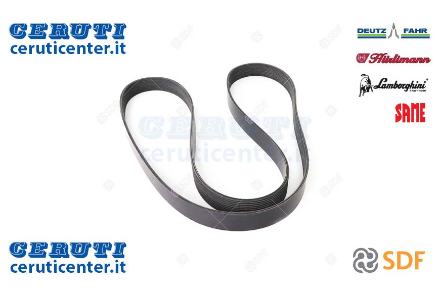 Cinghia - Originale SDF - 01183731