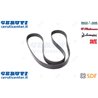 Cinghia - Originale SDF - 01183731