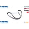 Strap - Original SDF - 01183766