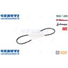 Cinghia - Originale SDF - 02235254