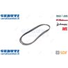 Cinghia - Originale SDF - 02235259