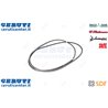 Cinghia - Originale SDF - 02235260