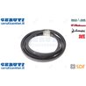 Strap - Original SDF - 0615124
