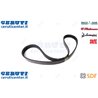 Cinghia - Originale SDF - 0619080