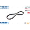 Cinghia - Originale SDF - 0619192