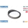 Cinghia - Originale SDF - 06204291