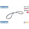Cinghia - Originale SDF - 0614215