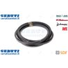 Strap - Original SDF - 06211010