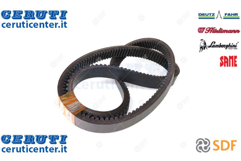 Cinghia - Originale SDF - 06215216