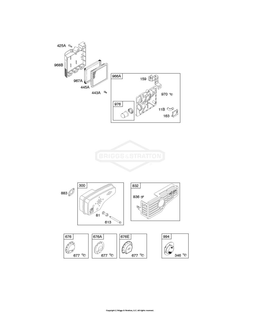 Air Cleaner, Exhaust System