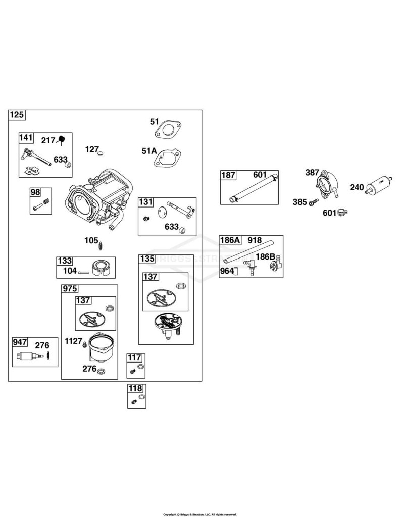 Carburetor, Fuel Pump, Fuel Hose