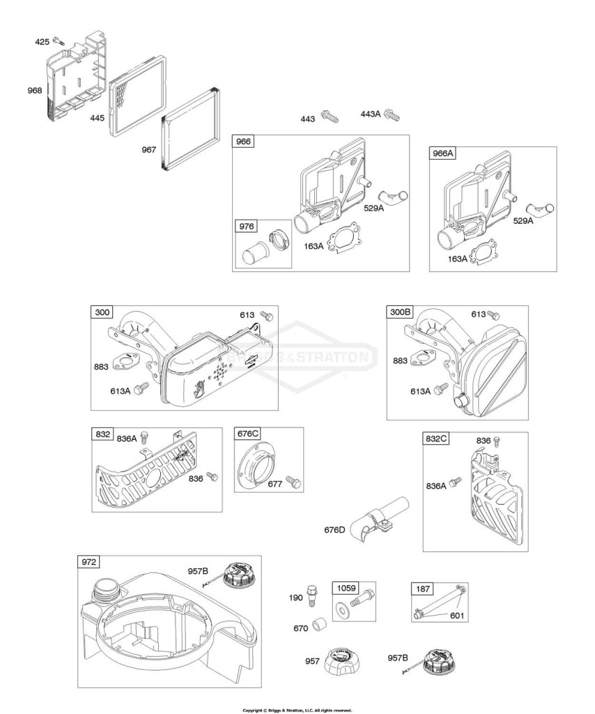 Air Cleaner, Exhaust System, Fuel Supply