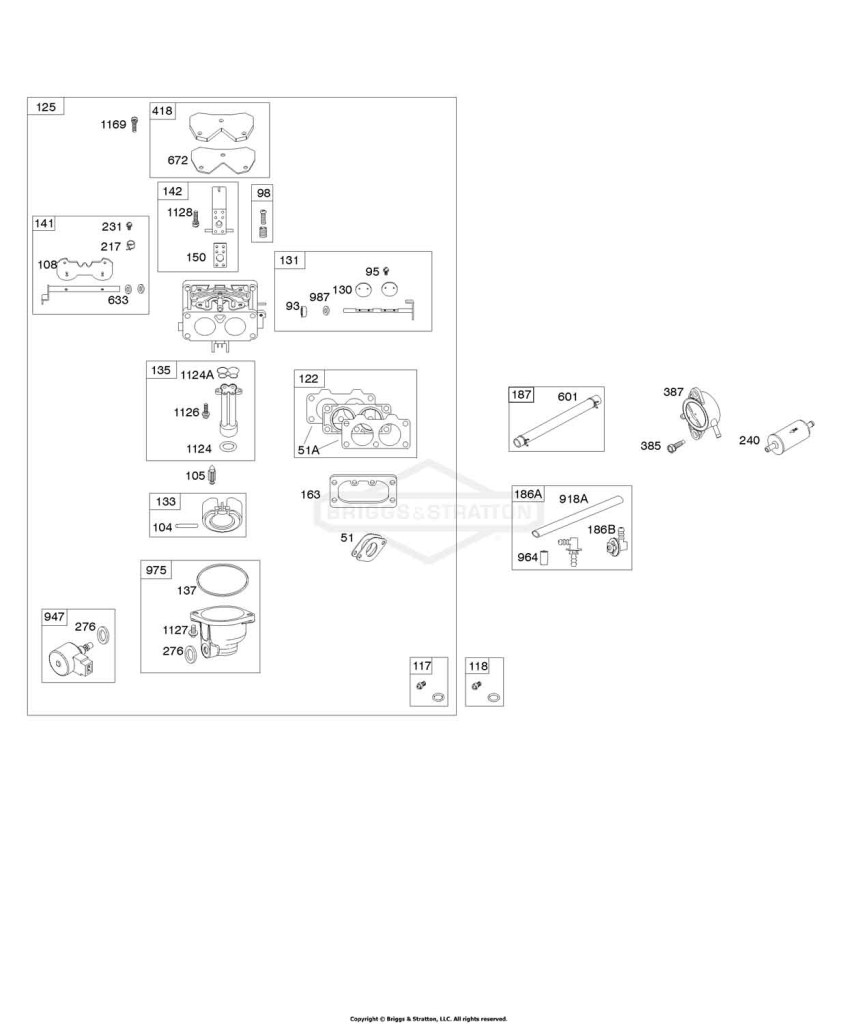 Carburetor, Fuel Filter