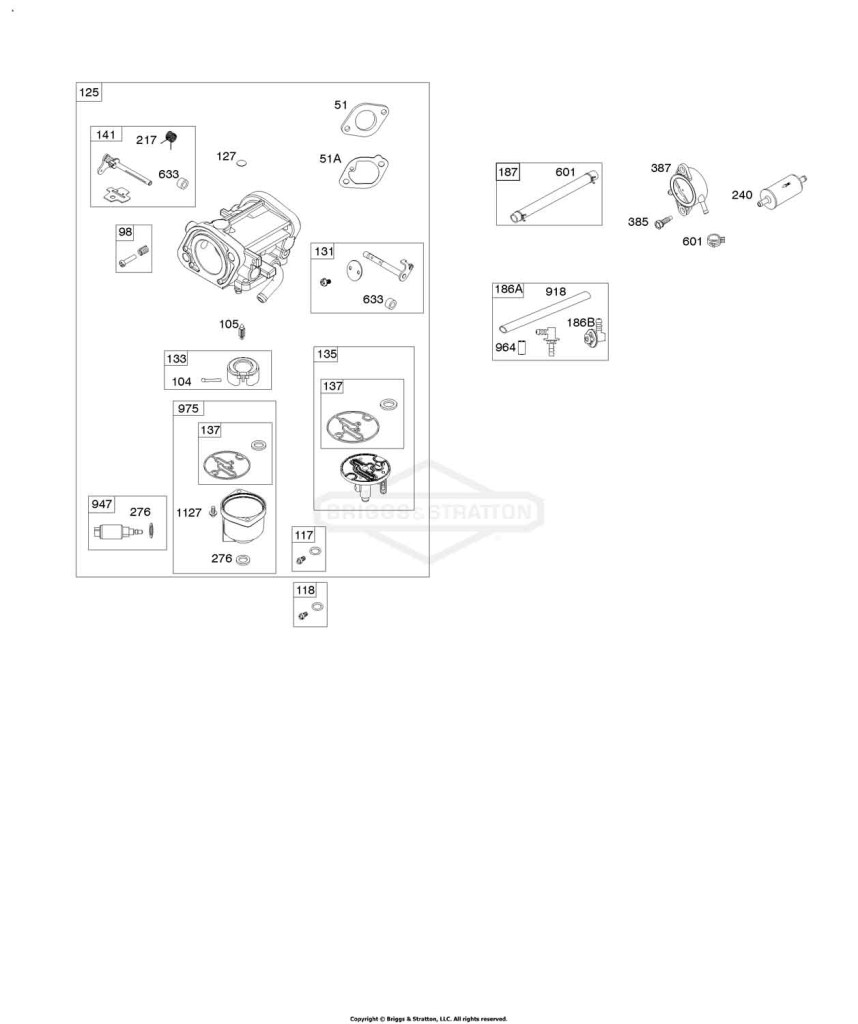 Carburetor, Fuel Pump, Fuel Hose