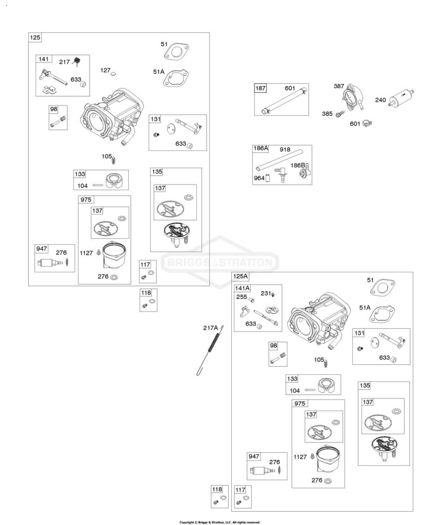 Carburetor, Fuel Pump, Fuel Hose