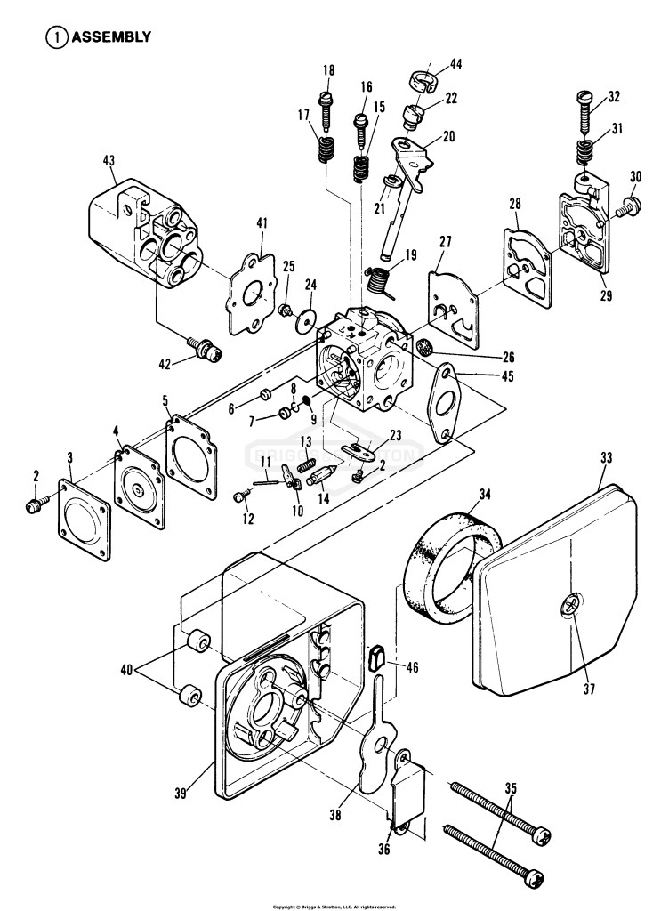 Carburetor & Air Filter