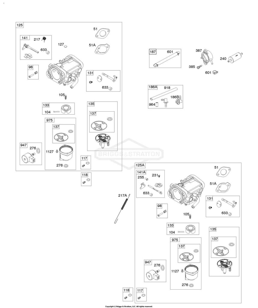 Carburetor, Fuel Pump, Fuel Hose