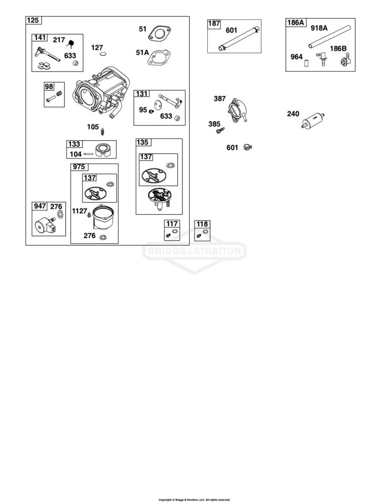 Carburetor, Fuel Pump, Fuel Hose