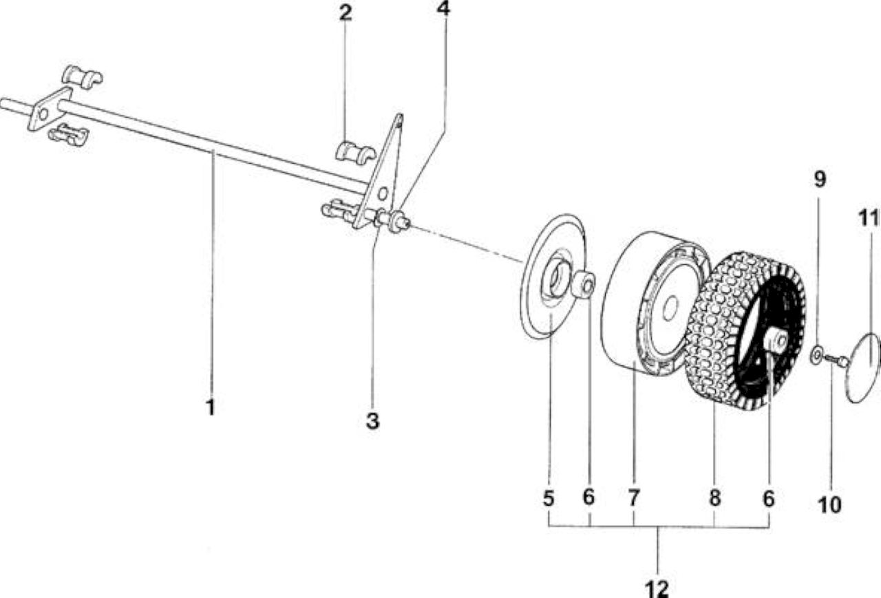 ASSALE POSTERIORE