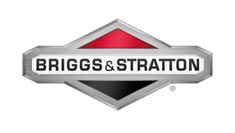  Ricambi per Motori Briggs & Stratton 