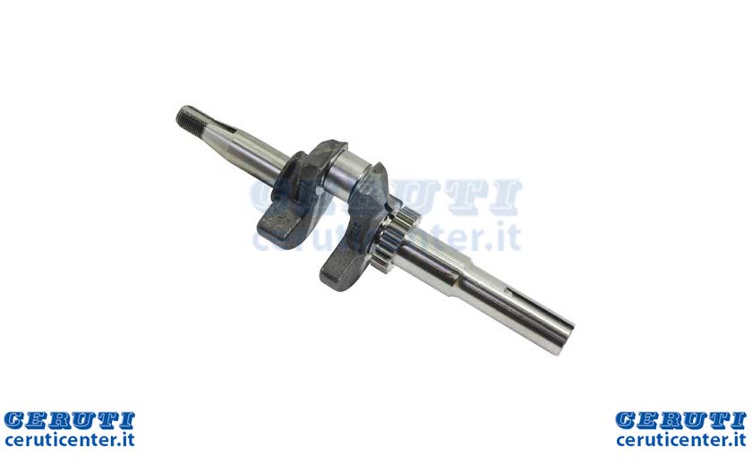 albero-22l-121600-ex-498615-691457.jpg