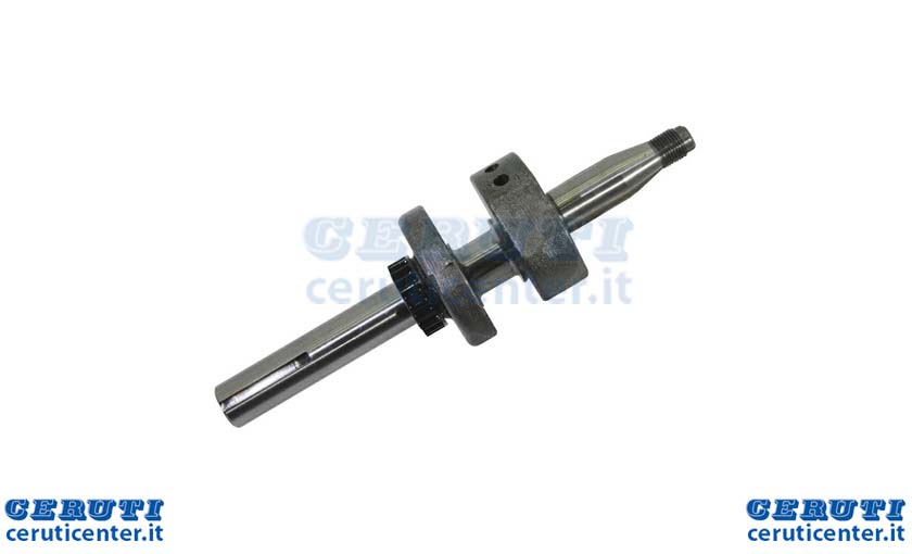 albero-ex-793062-796211.jpg
