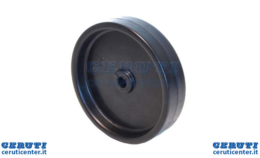 ruotino-piatto-standard-6-420221.jpg