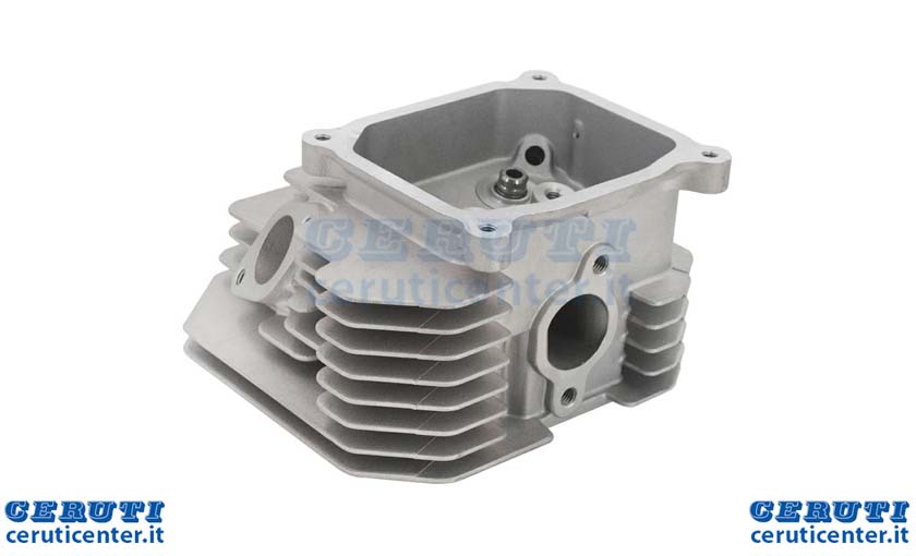 testata-560007.jpg