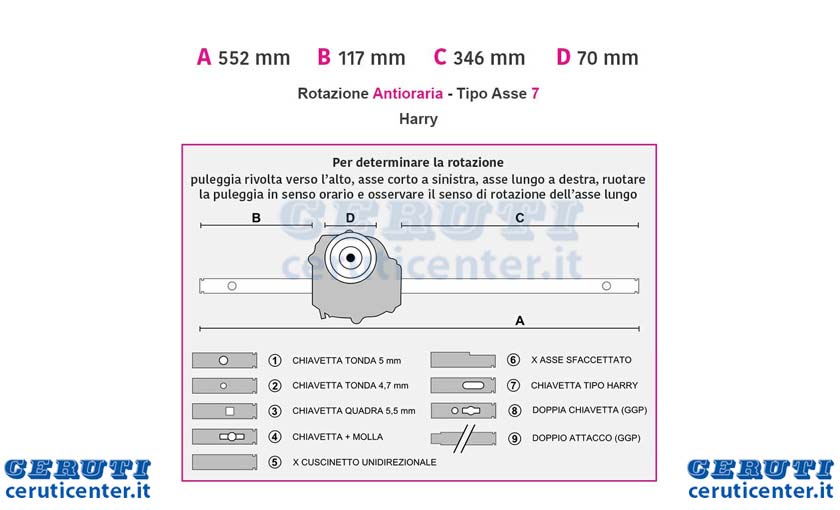 trazione-harry-772-721310010.jpg
