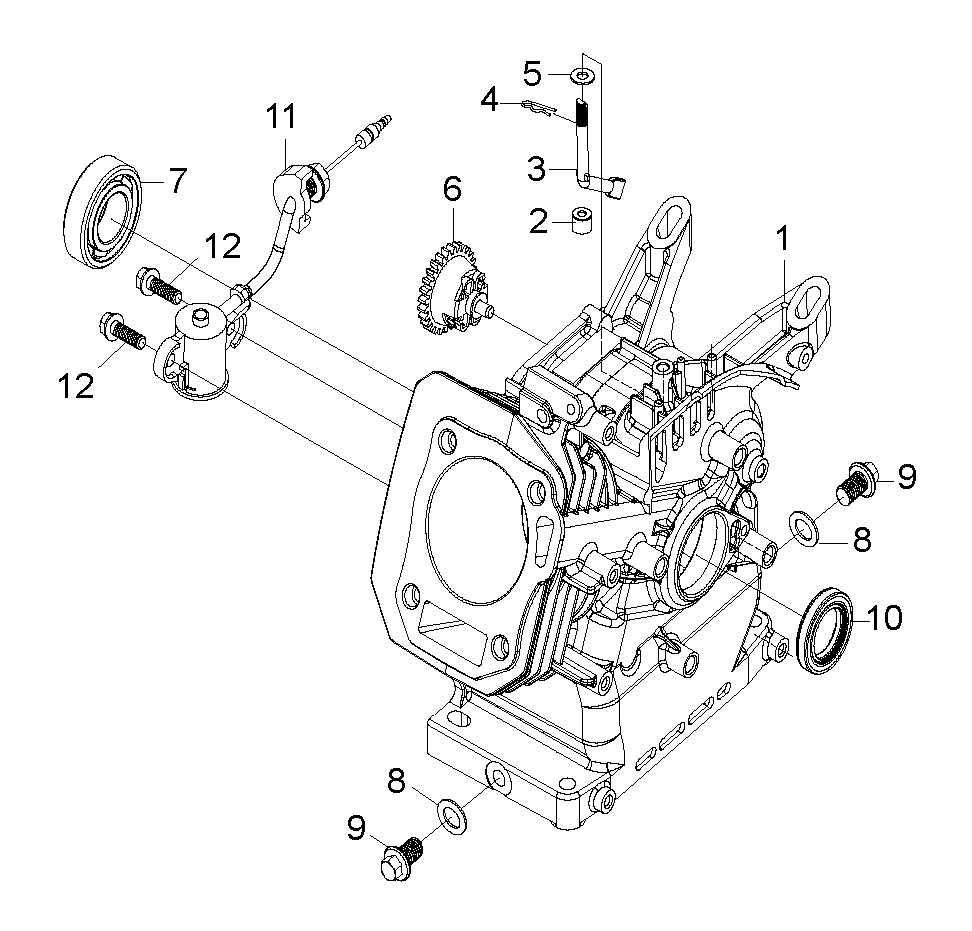 CARTER