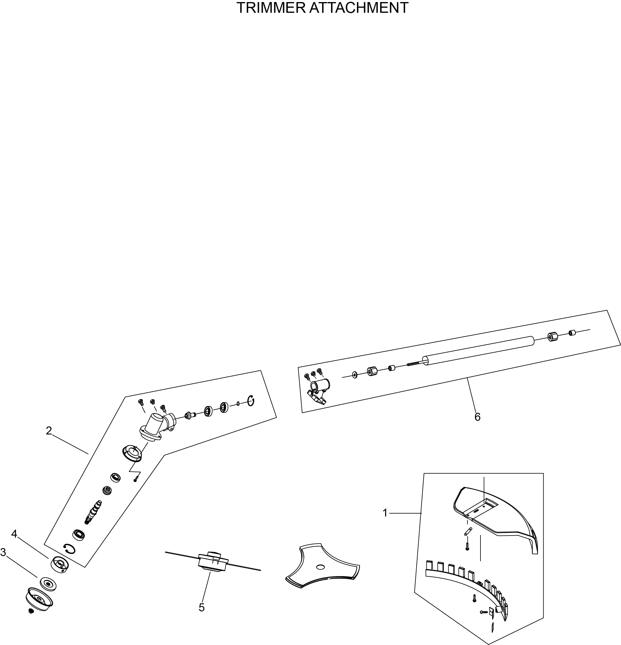 ALLEGATI