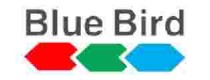 Blue Bird