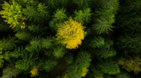 Geringe CO2-Emissionen
