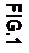 Casella di testo: FIG.1